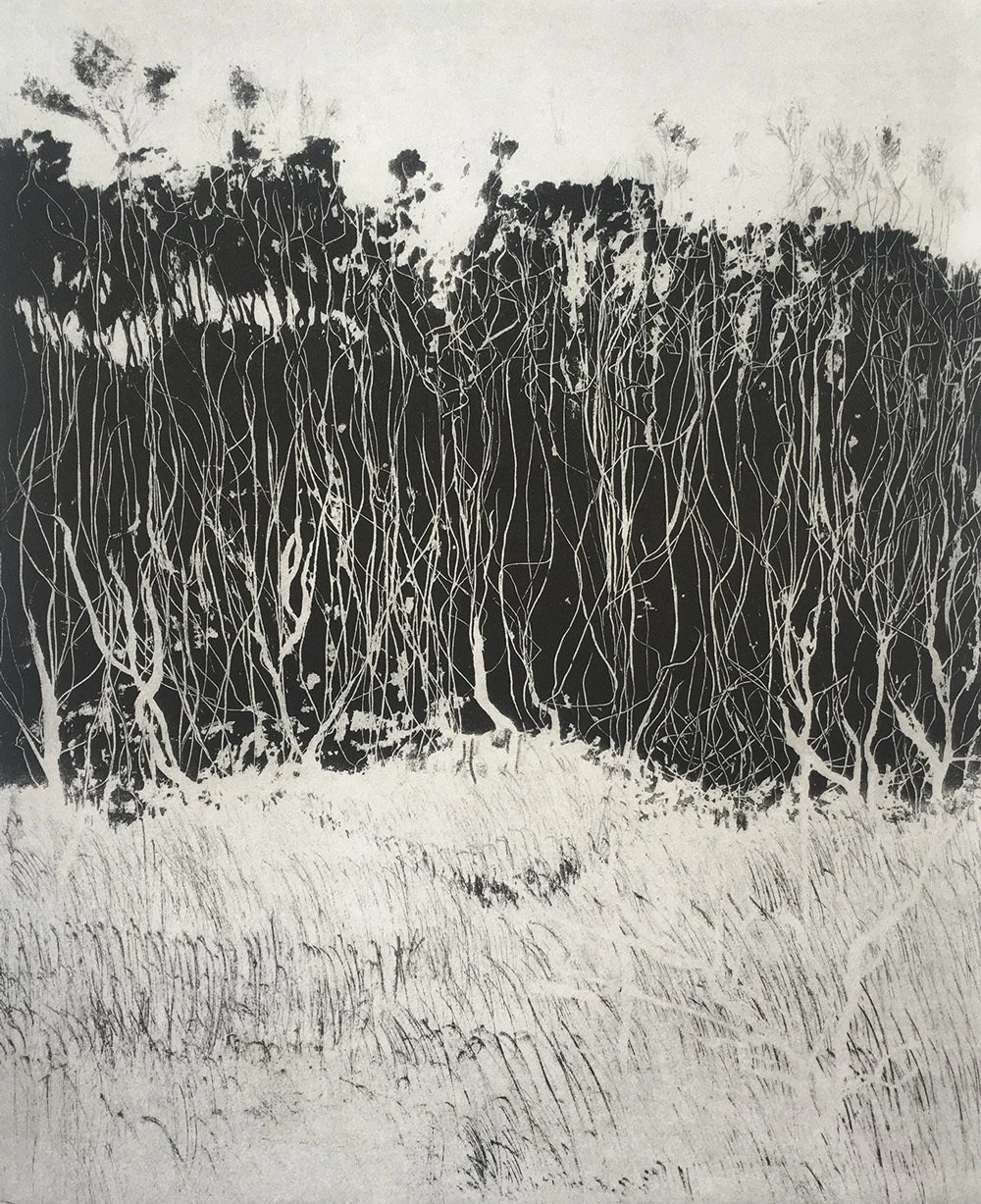 Forest — Etching, Paper size approx. 50 x 62, Plate size 34 x 42
